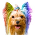 Icon of program: Colorize