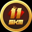 Icon of program: 11skm