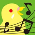 Icon of program: Budgie - Melody Maker