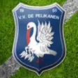 Icon of program: v.v. de Pelikanen