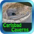 Icon of program: Carlsbad Caverns National…