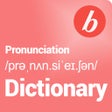 Icon of program: Pronunciation Dictionary