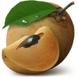 Icon of program: Chikoo
