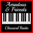 Icon of program: AMADEUS & FRIENDS - Class…