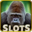 Icon of program: Slot Machine : Wild Goril…