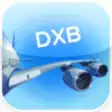 Icon of program: Dubai DXB Airport. Flight…