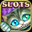 Icon of program: Slots in Wonderland - Del…