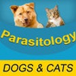 Icon of program: Parasitology Flash Cards