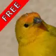 Icon of program: Bird Sounds FREE