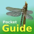 Icon of program: Pocket Guide UK Dragonfli…