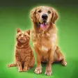Icon of program: Cat Sounds & Dog Sounds