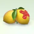 Icon of program: Lemon Aid
