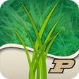 Icon of program: Purdue Turf Doctor