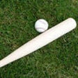 Icon of program: Pro Baseball Stats