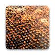 Icono de programa: Komodo 11 Chess Engine