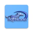 Icon of program: Equine Anatomy Learning A…