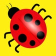 Icon of program: Weird Facts 1000! Fun, Ra…