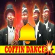 Icon of program: Coffin dance Ringtones