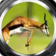 Icon of program: Sniper Deer Hunt Challeng…