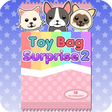 Blind Bag Surprise 2 - Mystery Box icon