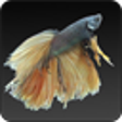 Icon of program: Fish World