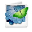 Icon of program: Viewer
