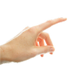 Icono de programa: Point N See