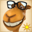 Icon of program: Magic Camel