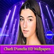 Icon of program: Charli D'amelio HD Wallpa…