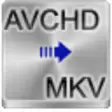 Icon of program: Free AVCHD to MKV Convert…