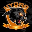 Icon of program: Hydra Vpn (Dns Leak) Wind…