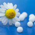 Icon of program: Homeopathy for Windows 10