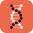 Icono de programa: Disciple Maker's (DM) Lab