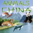 Icon of program: Animals China