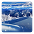 Icon of program: Winter Live Wallpaper