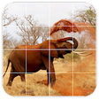 Icono de programa: Tile Puzzles  Africa