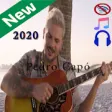 Icon of program: Pedro Cap music 2020