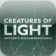 Icon of program: Creatures of Light