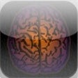 Icon of program: DualBrain+ Brain Training