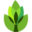 Icon of program: Garden Answers Plant Iden…