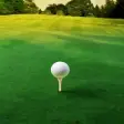 Icon of program: Mini Golf Games