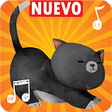 Icon of program: Tonos de gatos para celul…