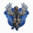 Icon of program: GUARDIÕES MOTOCA PASSAGEI…