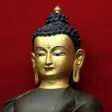 Icon of program: Lord Gautama Buddha Wallp…
