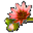Icono de programa: RecoverPlus Photo Recover…