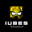 Icono de programa: Iubes - Intelligent Cubes