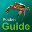 Icon of program: Pocket Guide UK Sea Fishi…