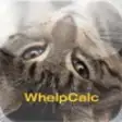Icon of program: WhelpCalc