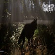 Untamed Kingdom icon