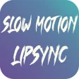 Icon of program: Slow Motion LipSync